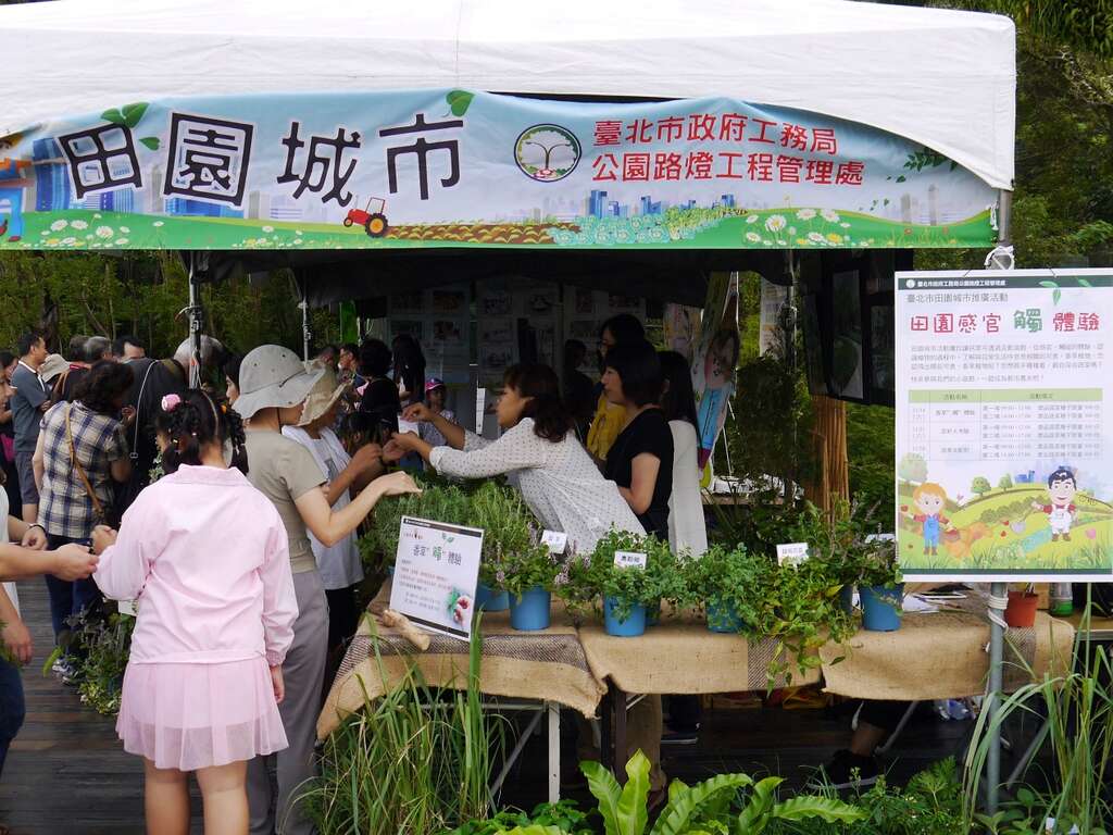 士林菊展展摊赠菜苗