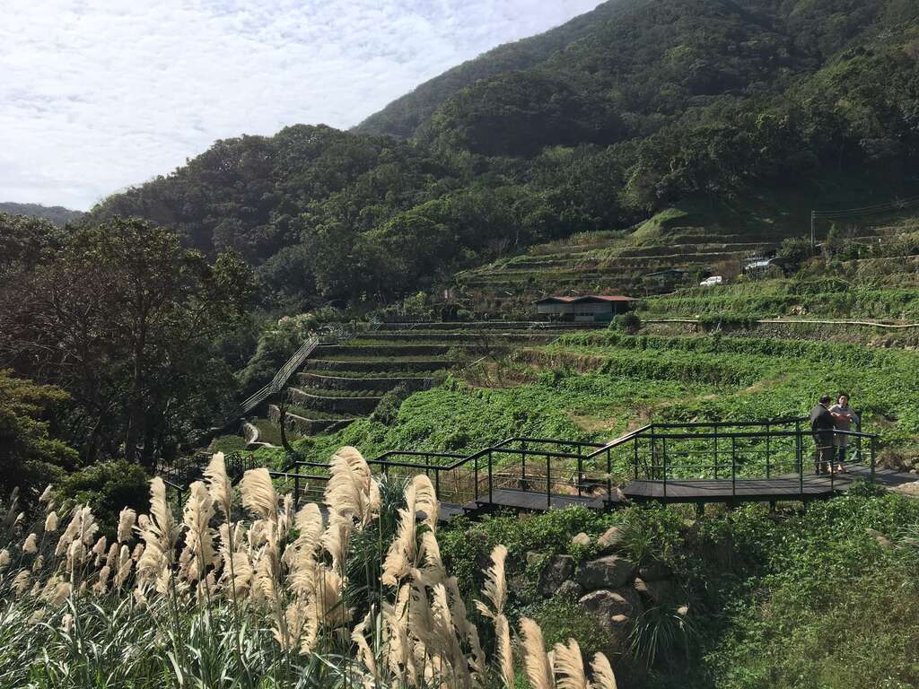 附图1、青枫步道前景