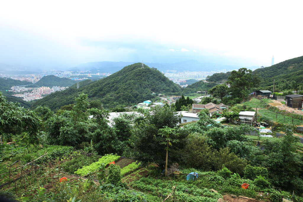 臺北市白石湖同心池換新妝  闔家出遊好去處