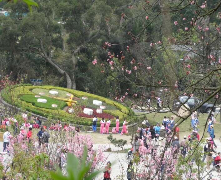 图4.不可错过阳明公园的地标「花钟」