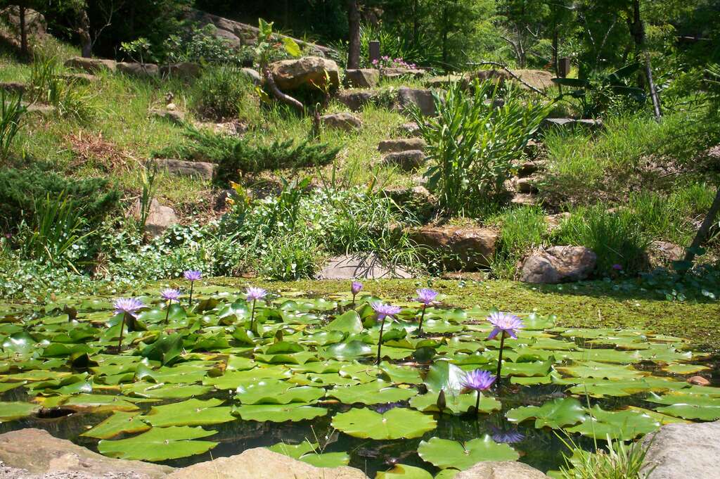 2017 Taipei Recreational Farms CNY Holiday Hours