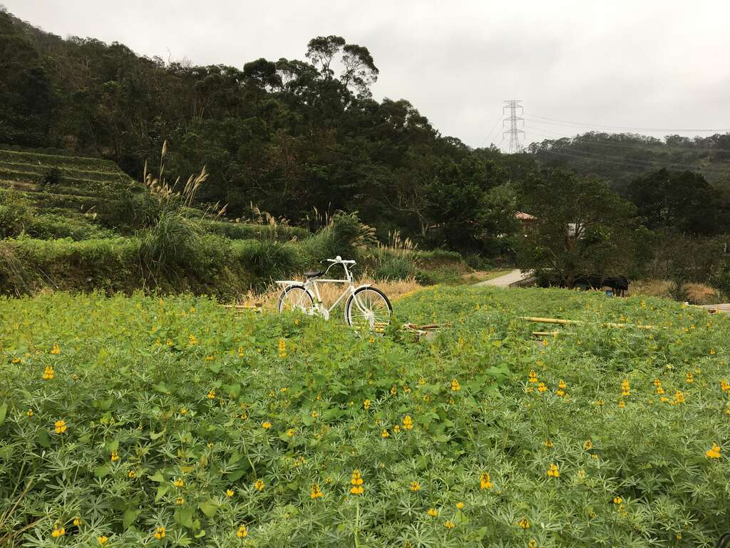 田野间乘风骑乘古早脚踏车