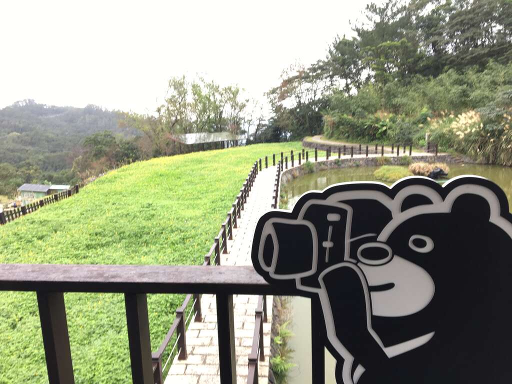 摄影黑熊建议拍摄点位之一