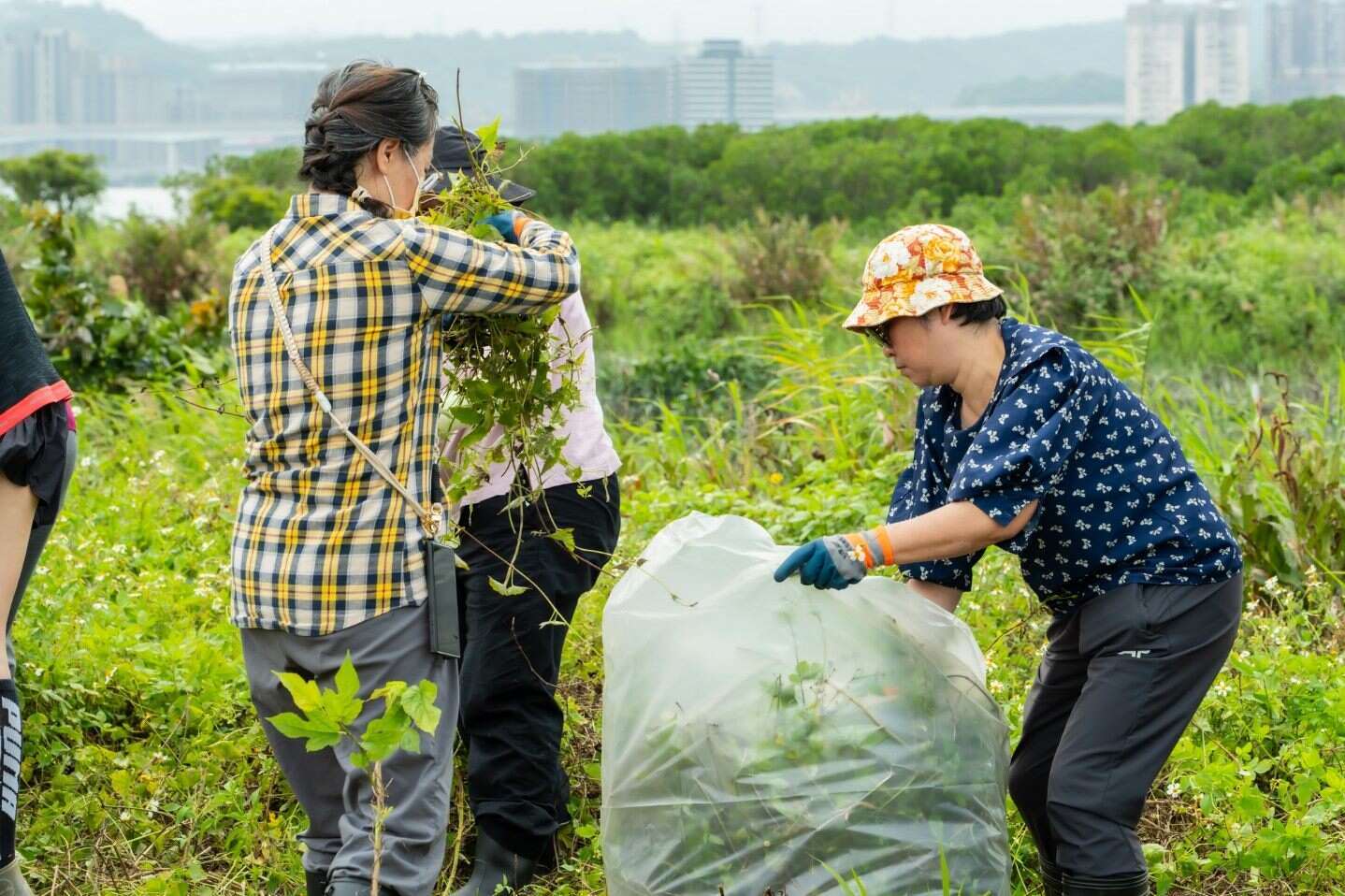 大家一起齊心協力維護鹵蕨的棲地(圖片來源：臺北市政府工務局水利工程處)