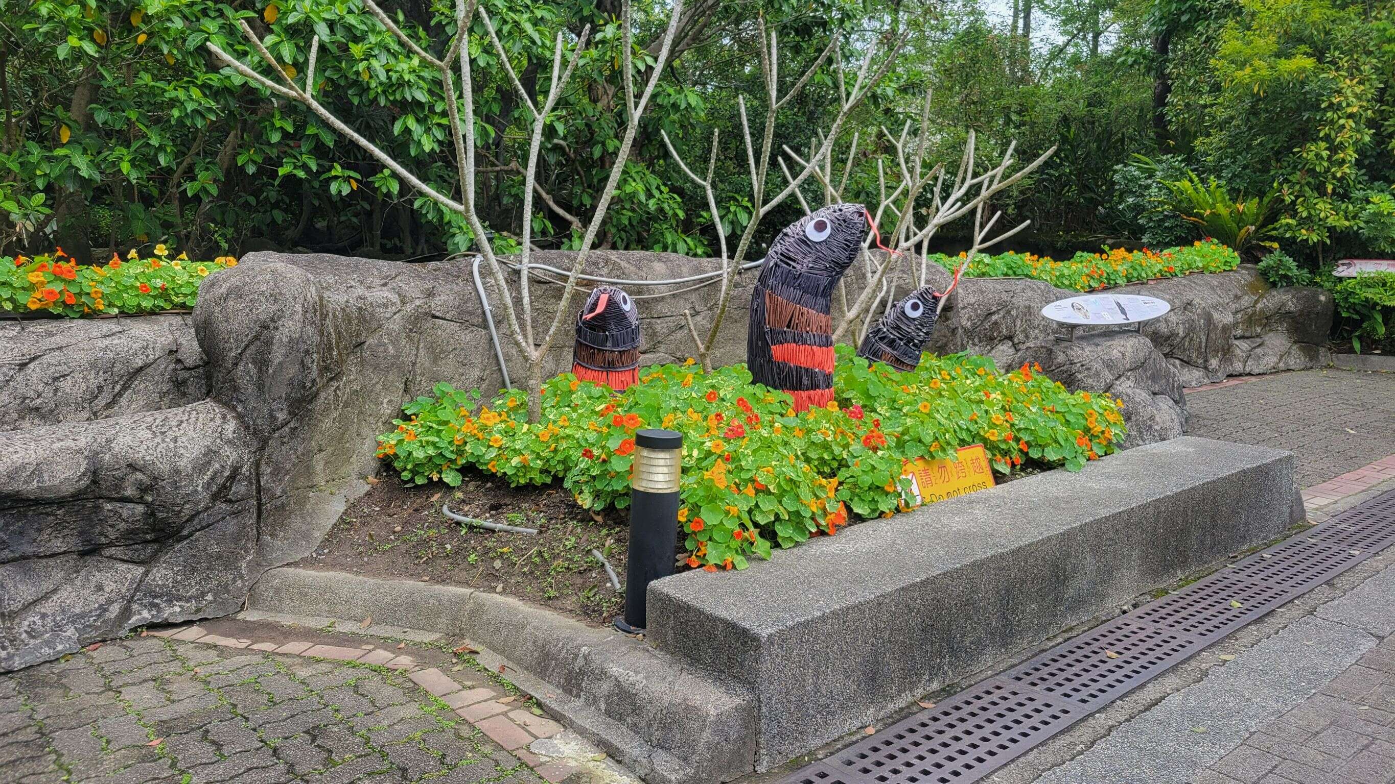 臺北市立動物園赤腹游蛇裝置（資料來源：臺北市立動物園提供）