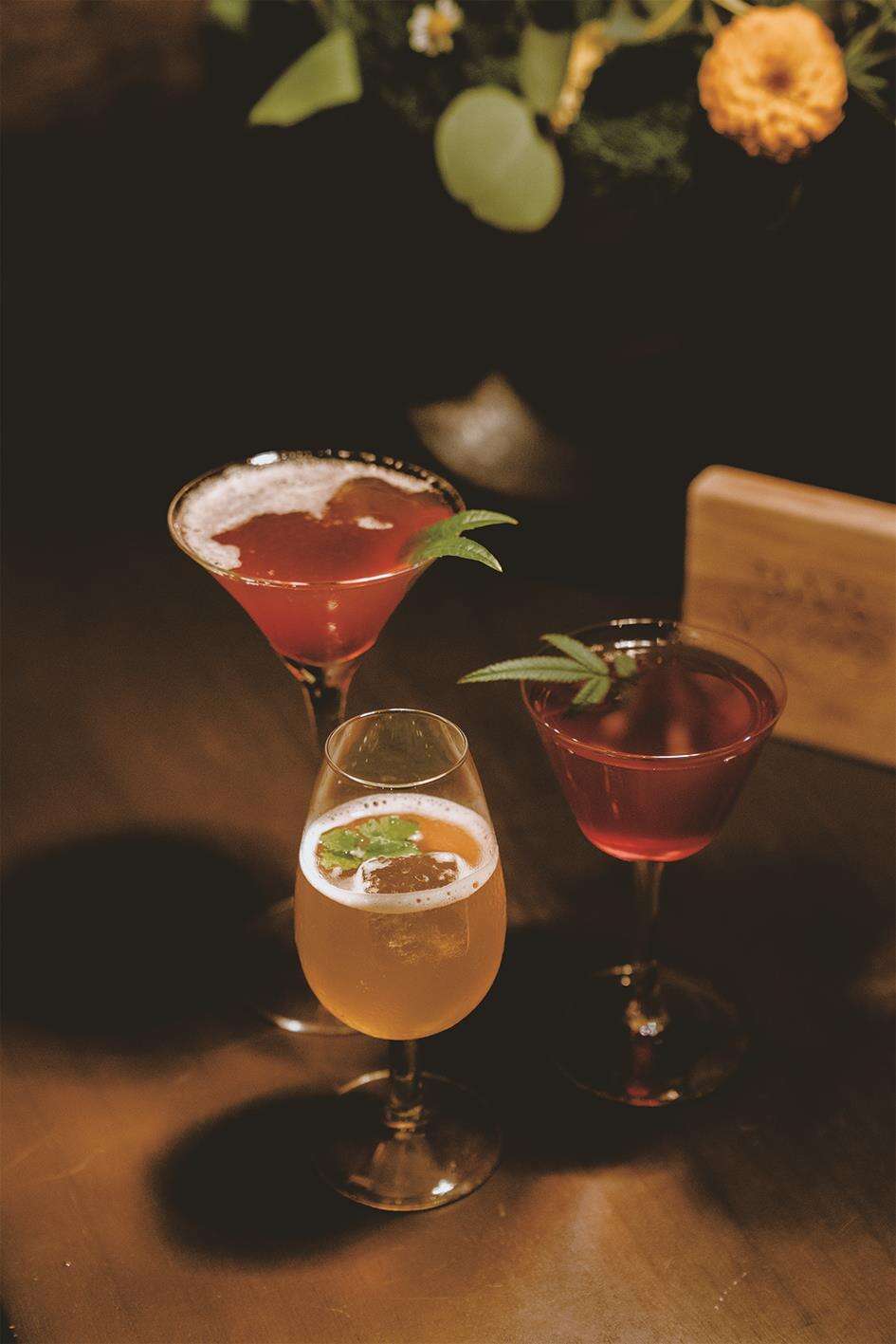 Flavorful Nights and Bar Culture