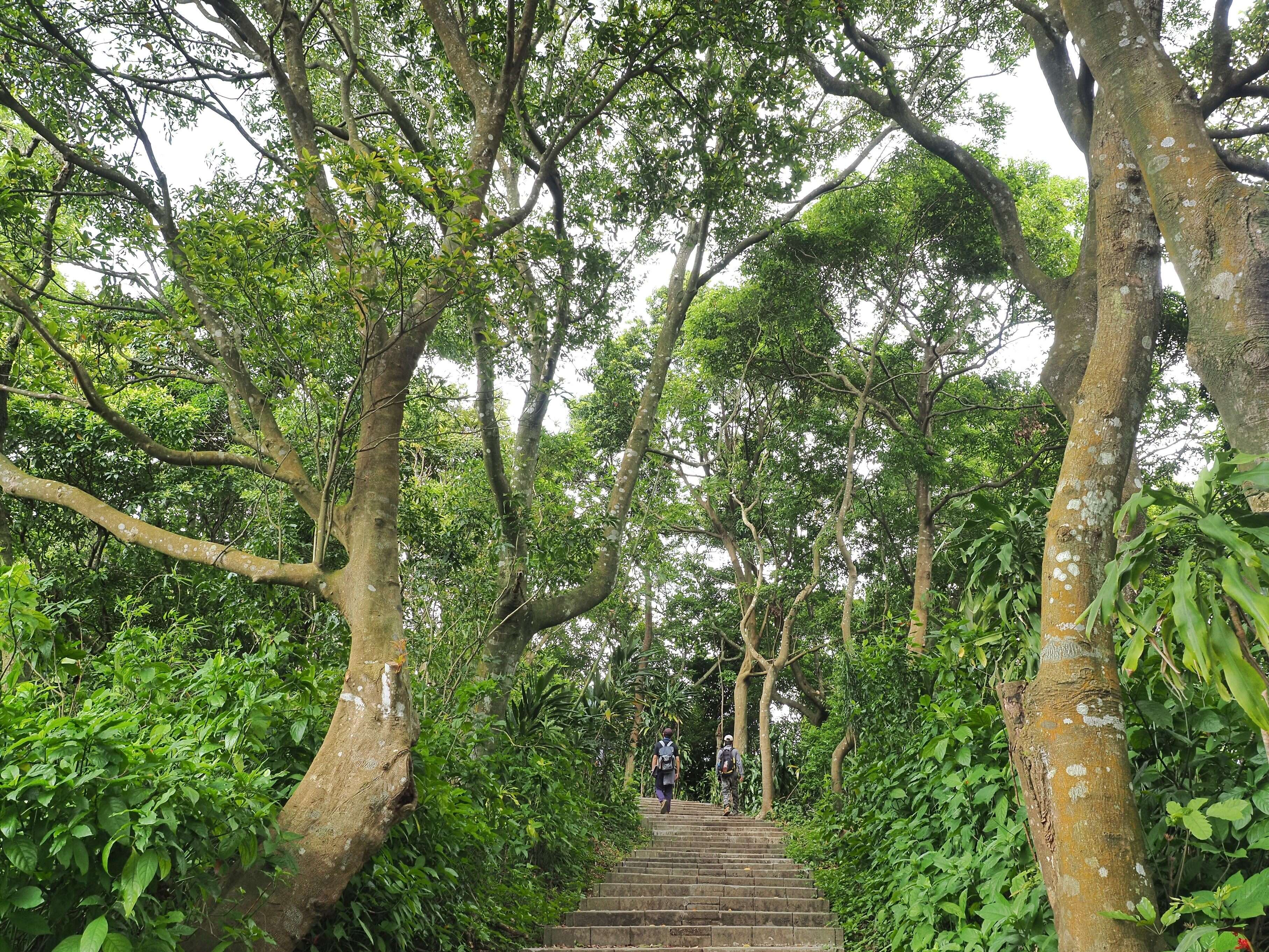 圓山風景區劍潭山親山步道(圖片來源：臺北市政府工務局大地工程處)
