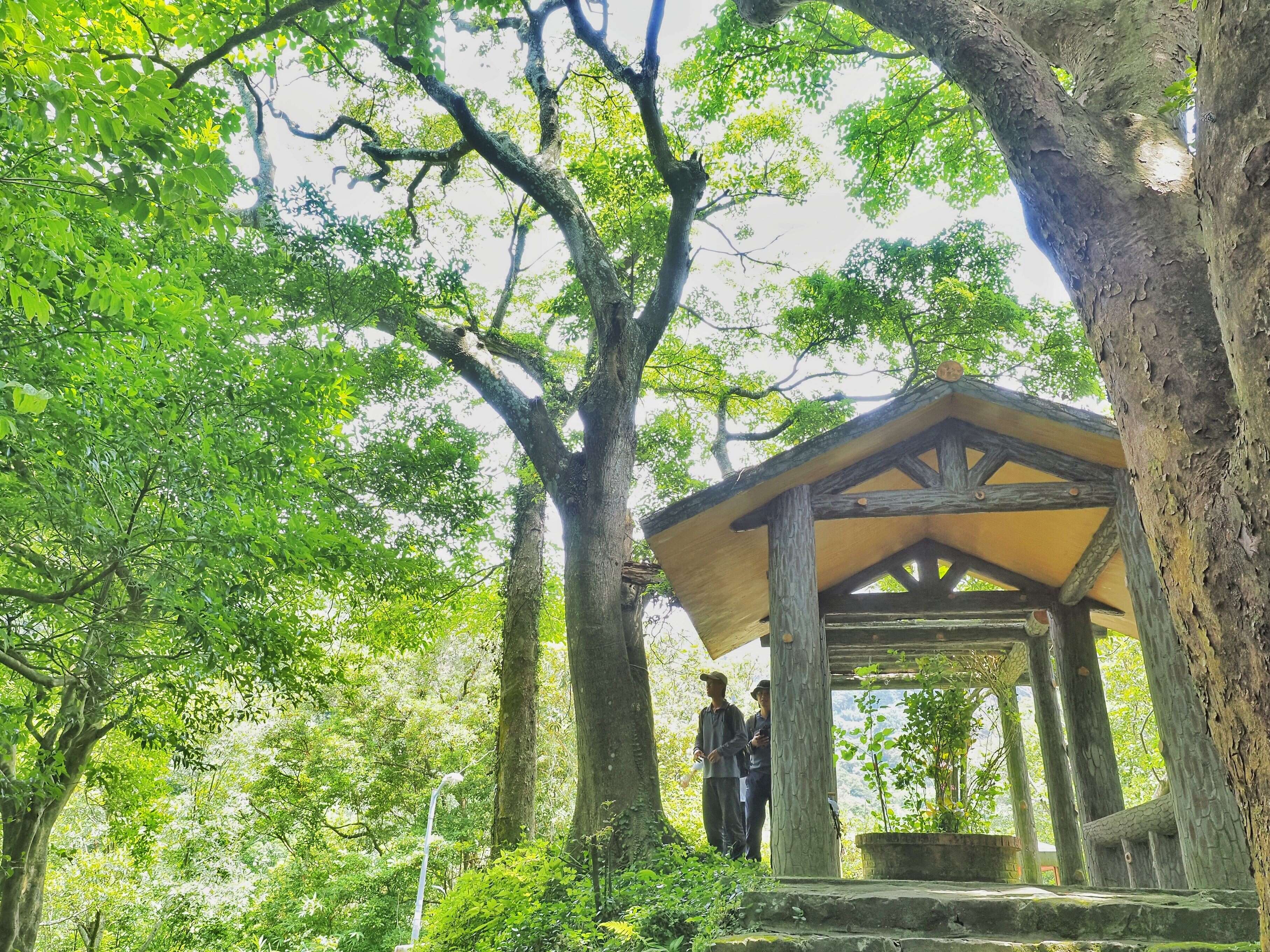 香楠 貴子坑親山步道(圖片來源：臺北市政府工務局大地工程處)