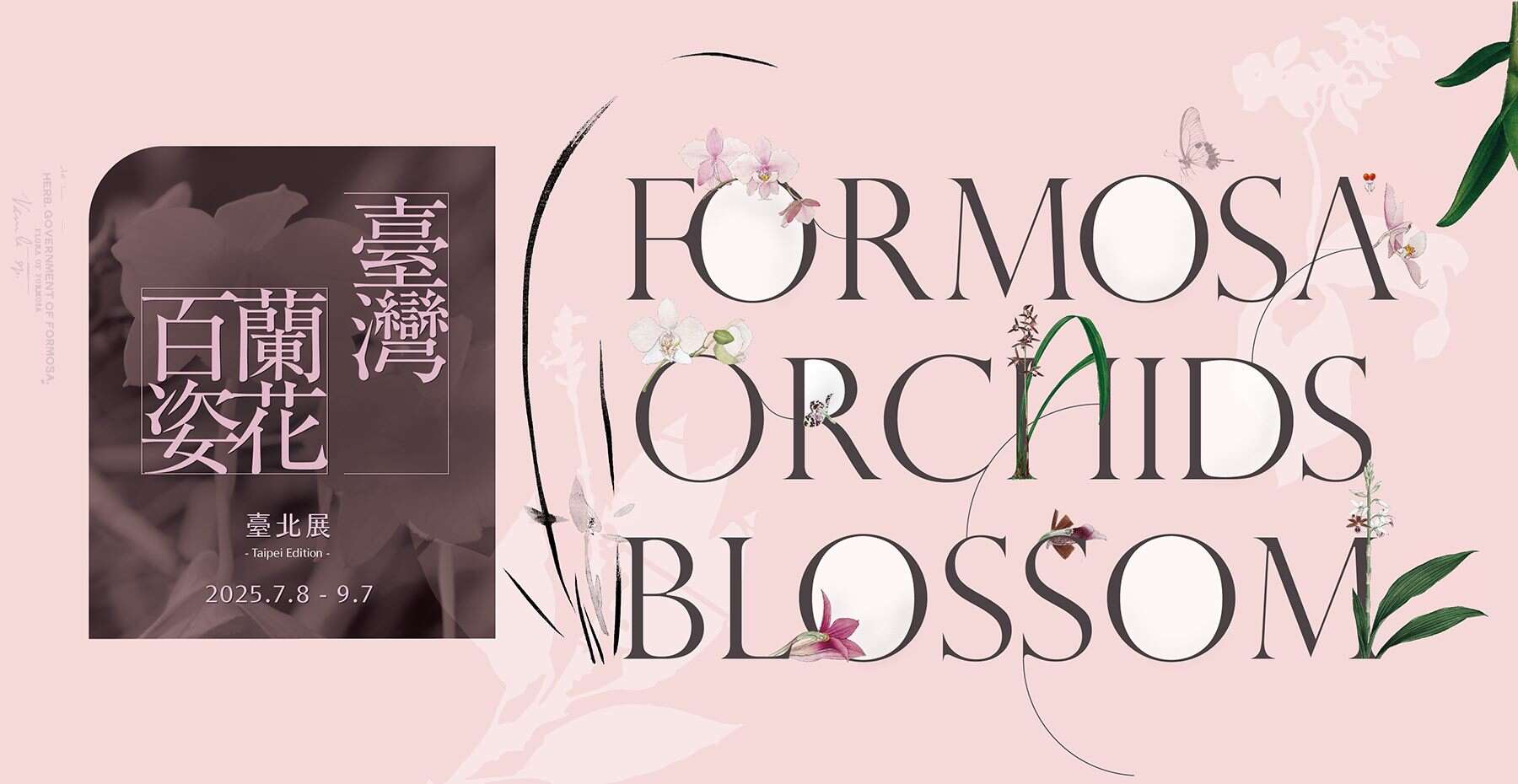▲《臺灣蘭花百姿》特展(資料來源：國立歷史博物館提供)