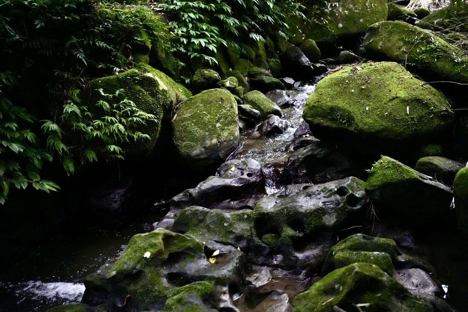 凹凸不平的壺穴景觀(圖片來源：臺北市政府工務局大地工程處)
