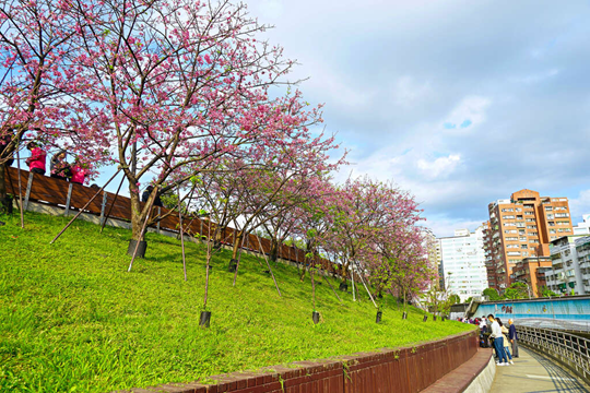 樂活公園