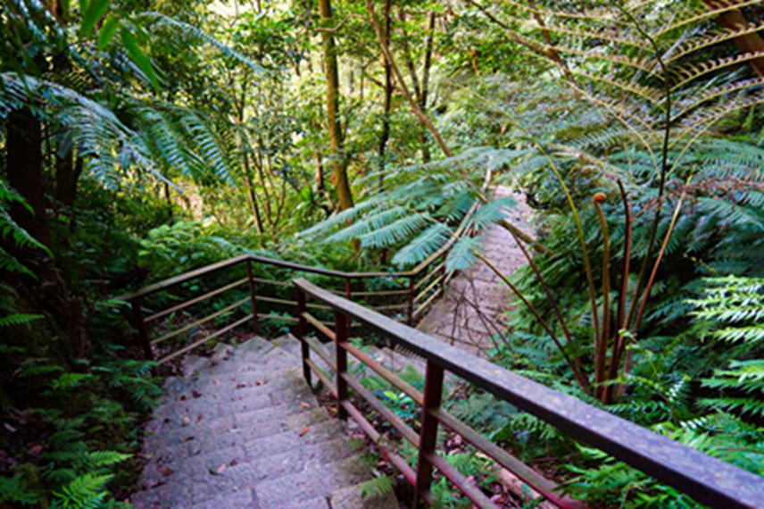 白鷺鷥山親山步道