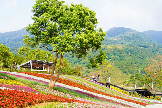 三層崎公園