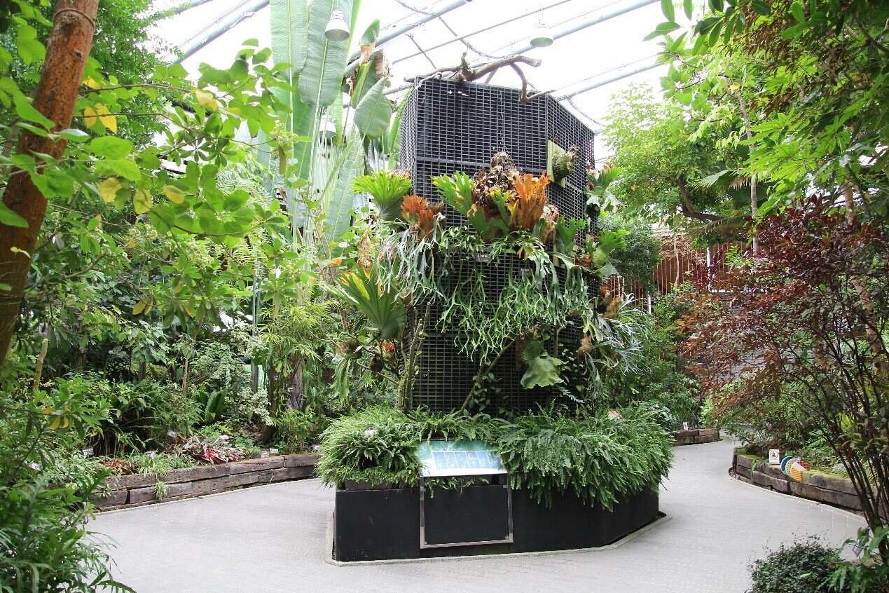 臺北典藏植物園環境舒適適合市民前往休閒參觀。(圖片來源：臺北市政府工務局公園路燈工程管理處)