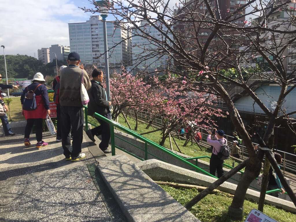 图3、106年游客於乐活公园赏花