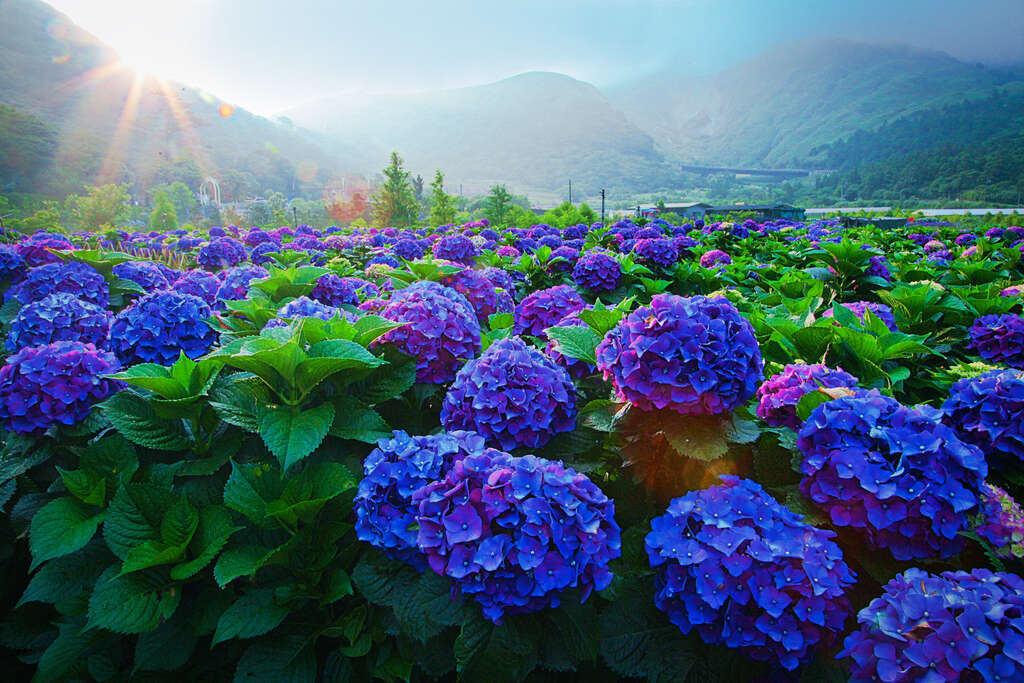Yangmingshan National Park