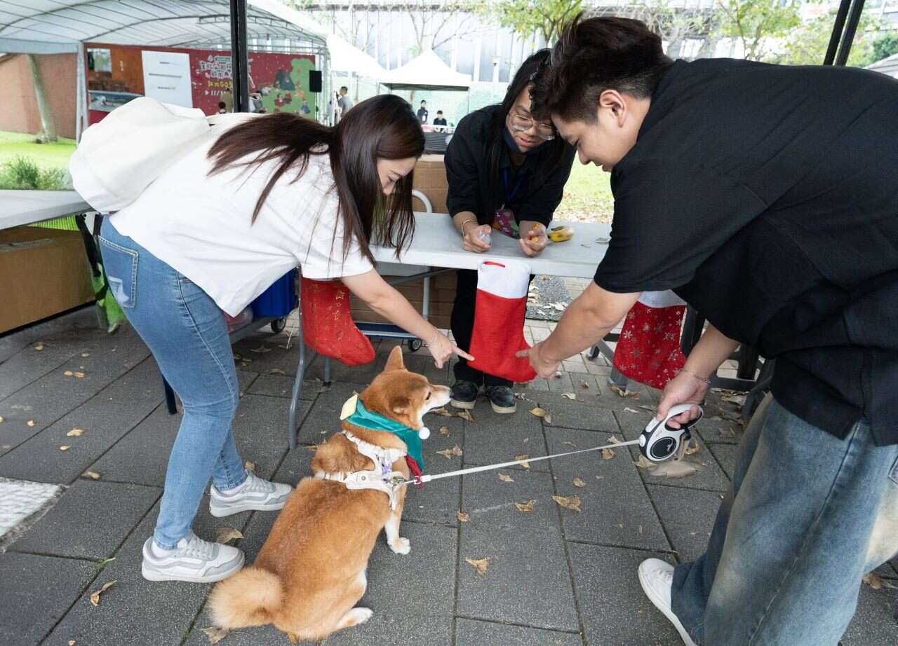 The Taipei City Animal Protection Office has Officially Launched the “Dunbei Park Dog Off-Leash Area” in Songshan District