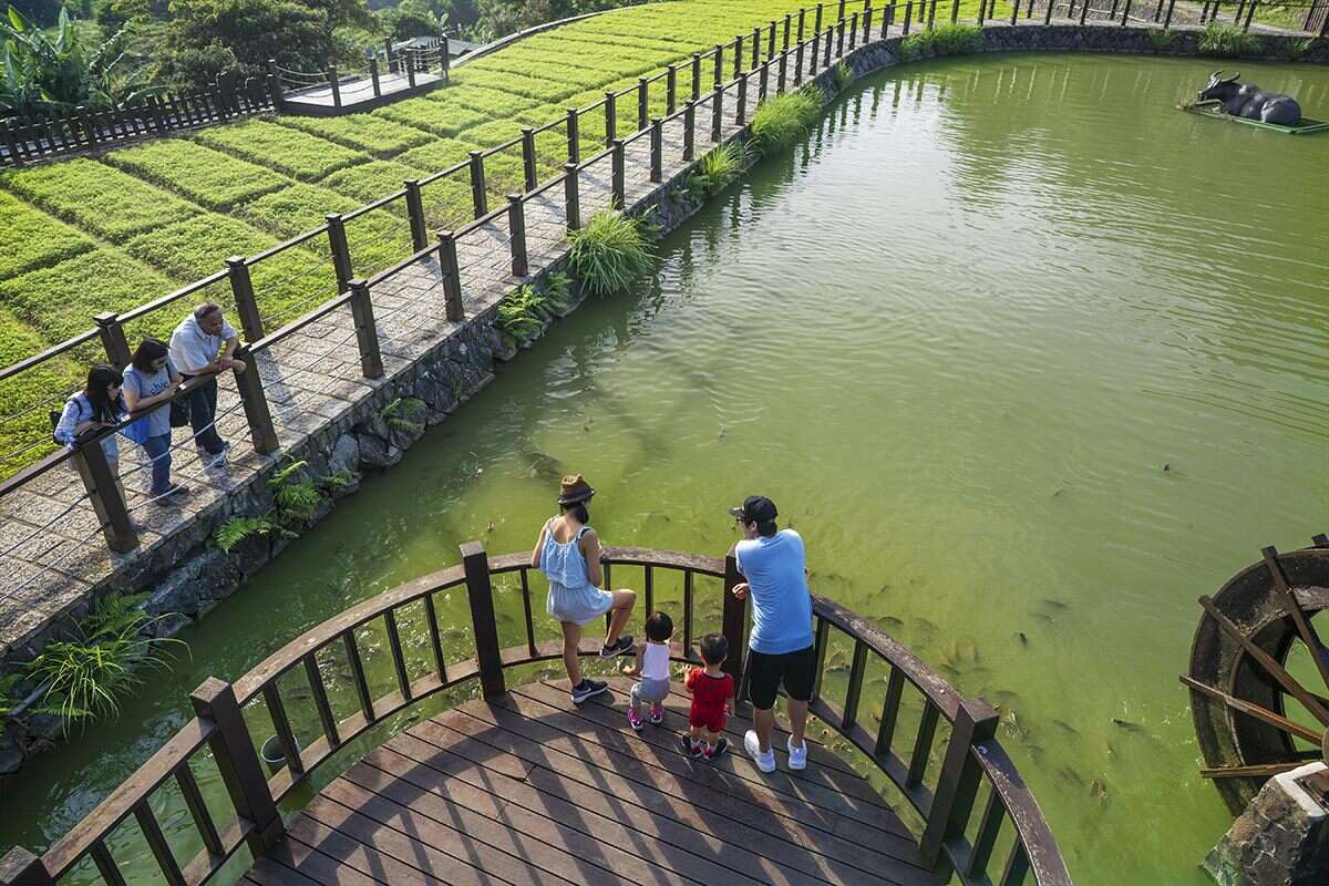 第七段樟树步道（图片来源：台北市政府工务局大地工程处）