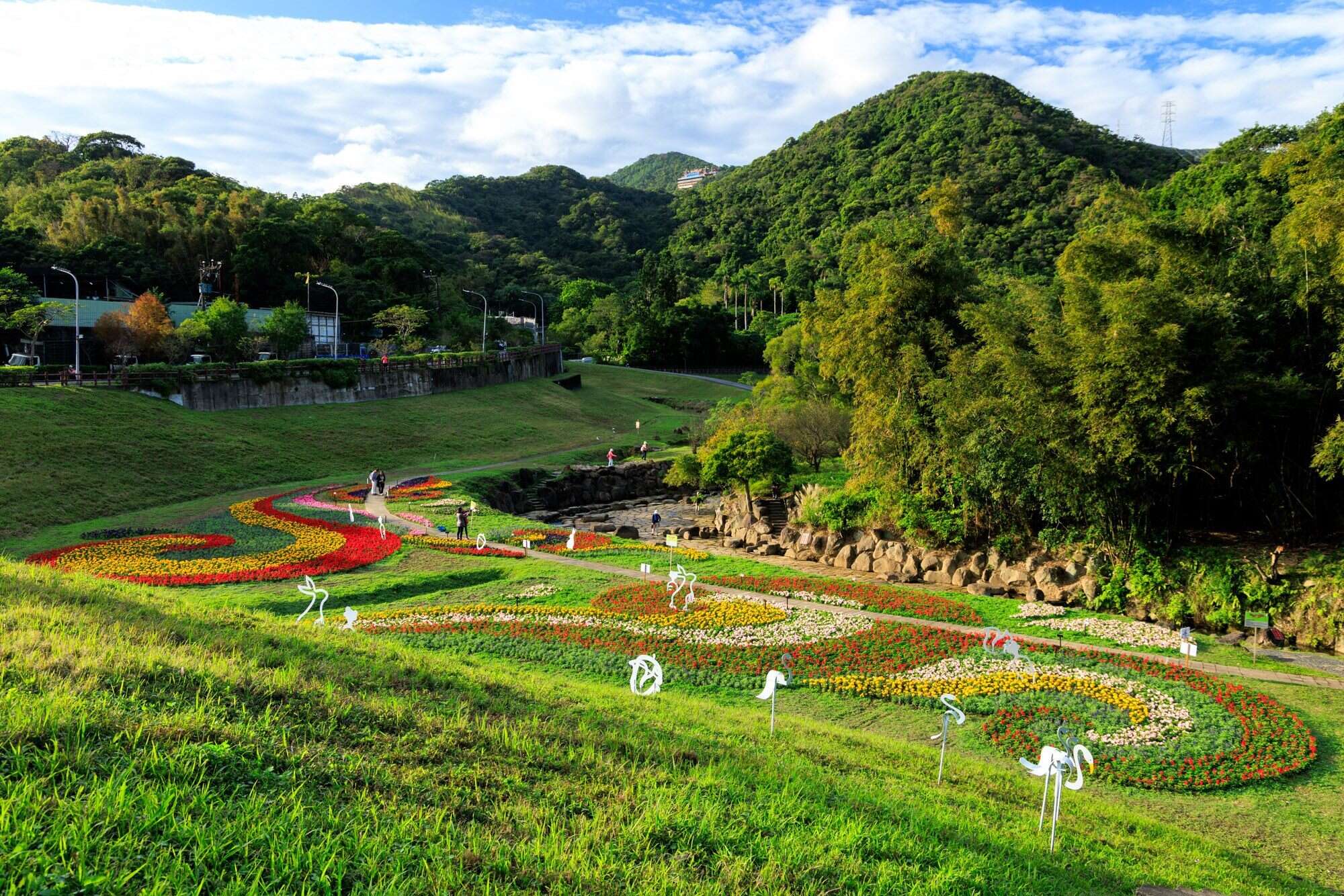 A Must-See This New Year’s Holiday: Sea of Flowers in Spectacular Bloom at Dagouxi Ecology and Water-Control Park