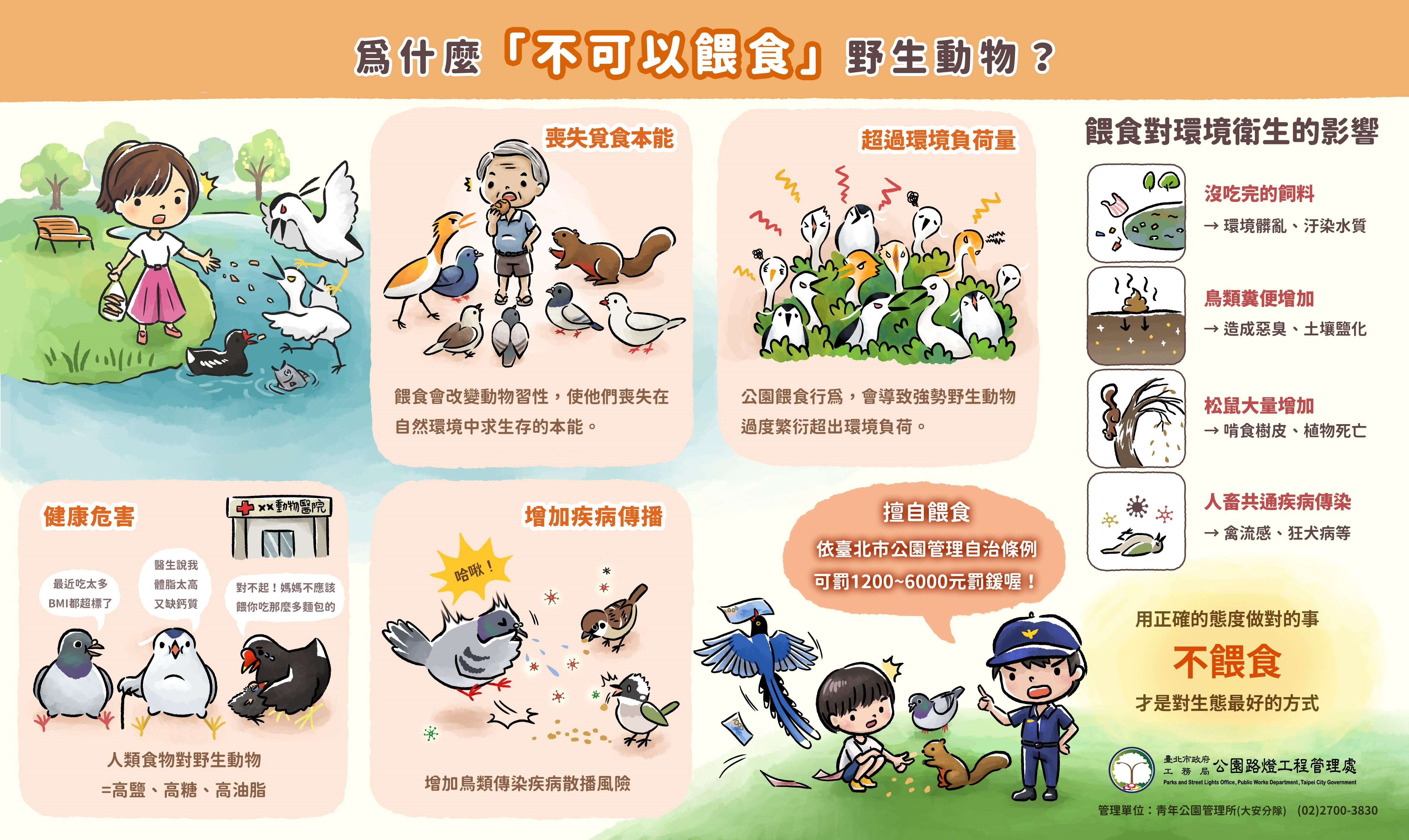觀察小動物應保持適當距離，切勿餵食（圖片來源：臺北市政府工務局公園路燈工程管理處）