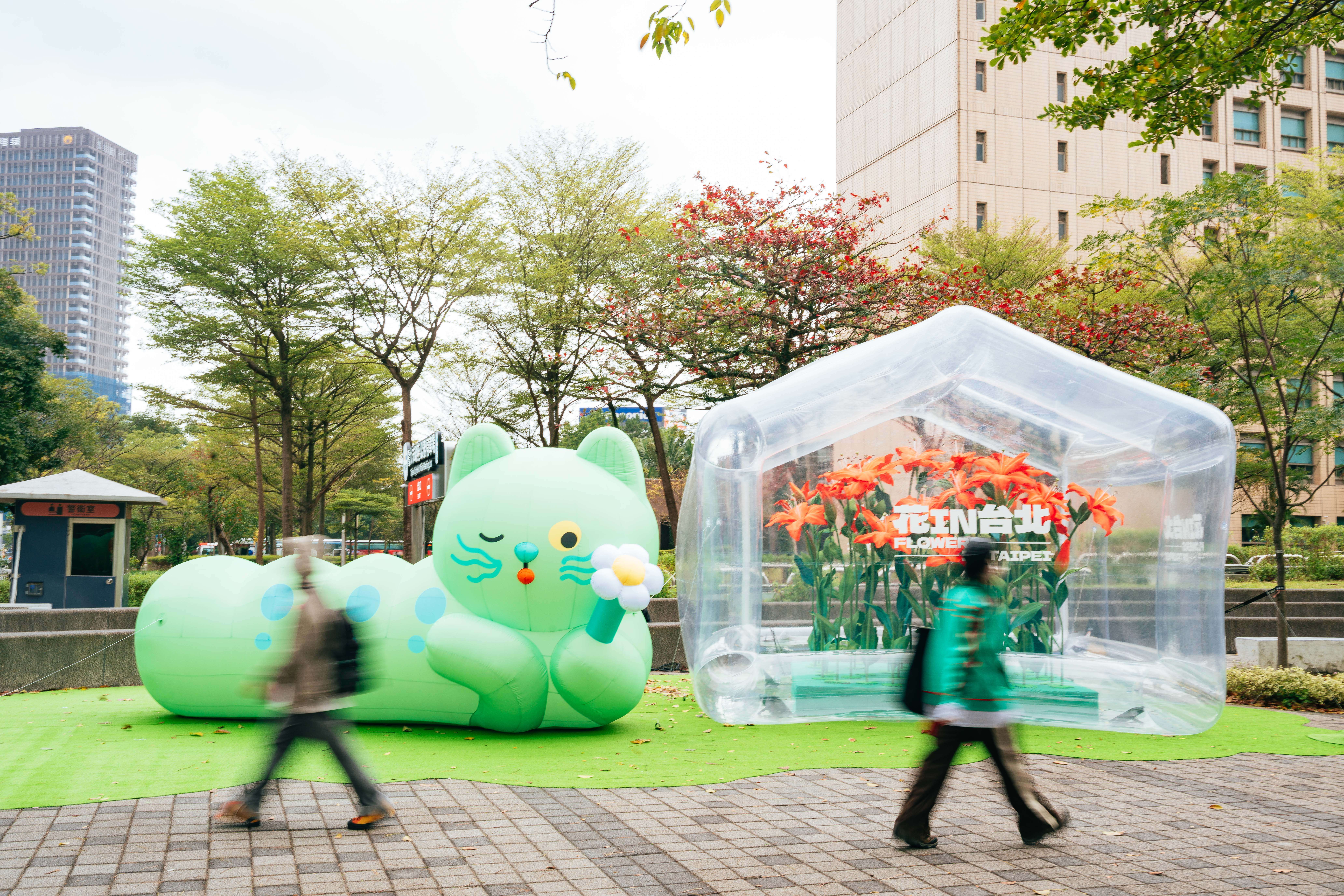 The gardener of "Flower in Taipei," "Meow," makes 