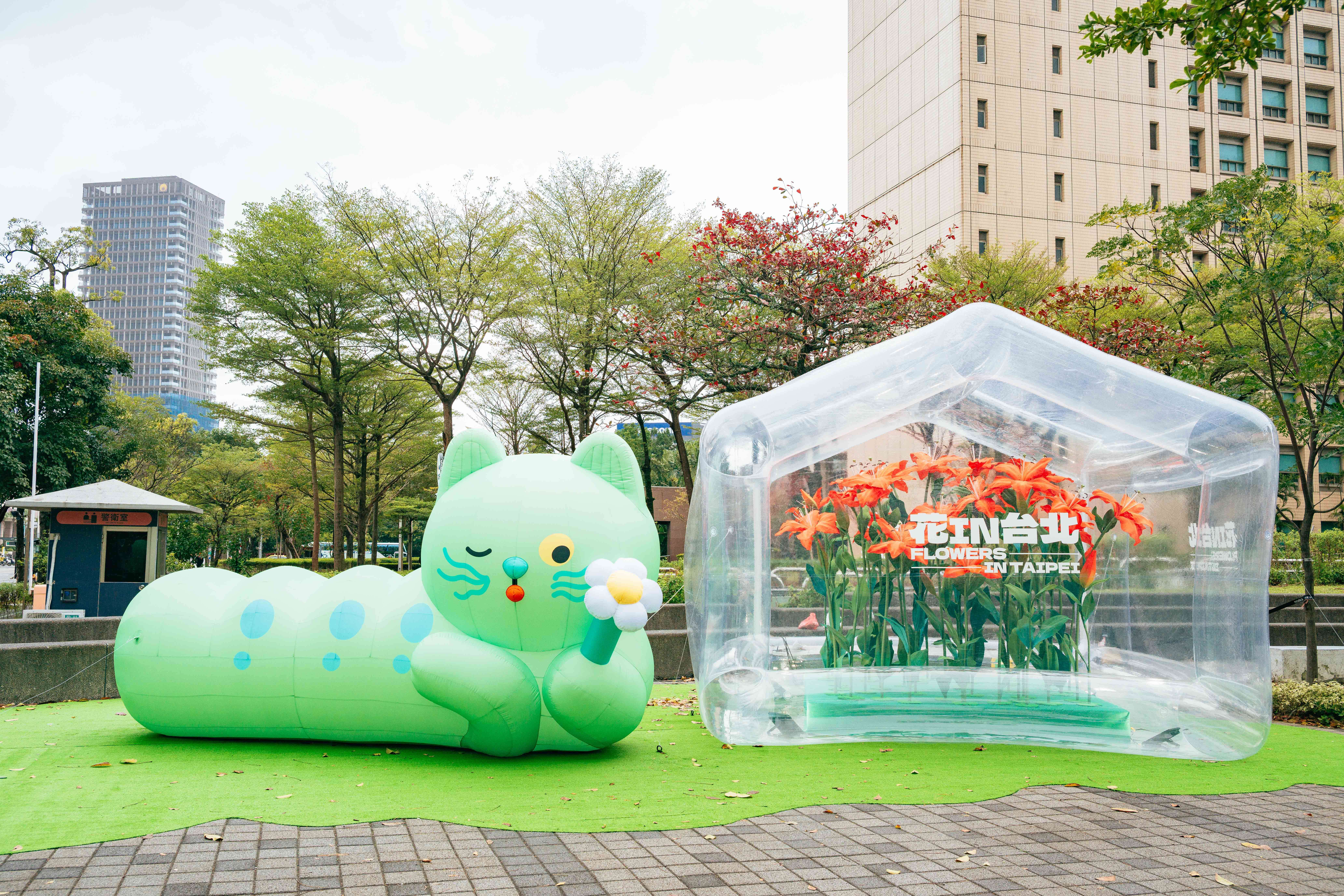 The gardener of "Flower in Taipei," "Meow," makes 