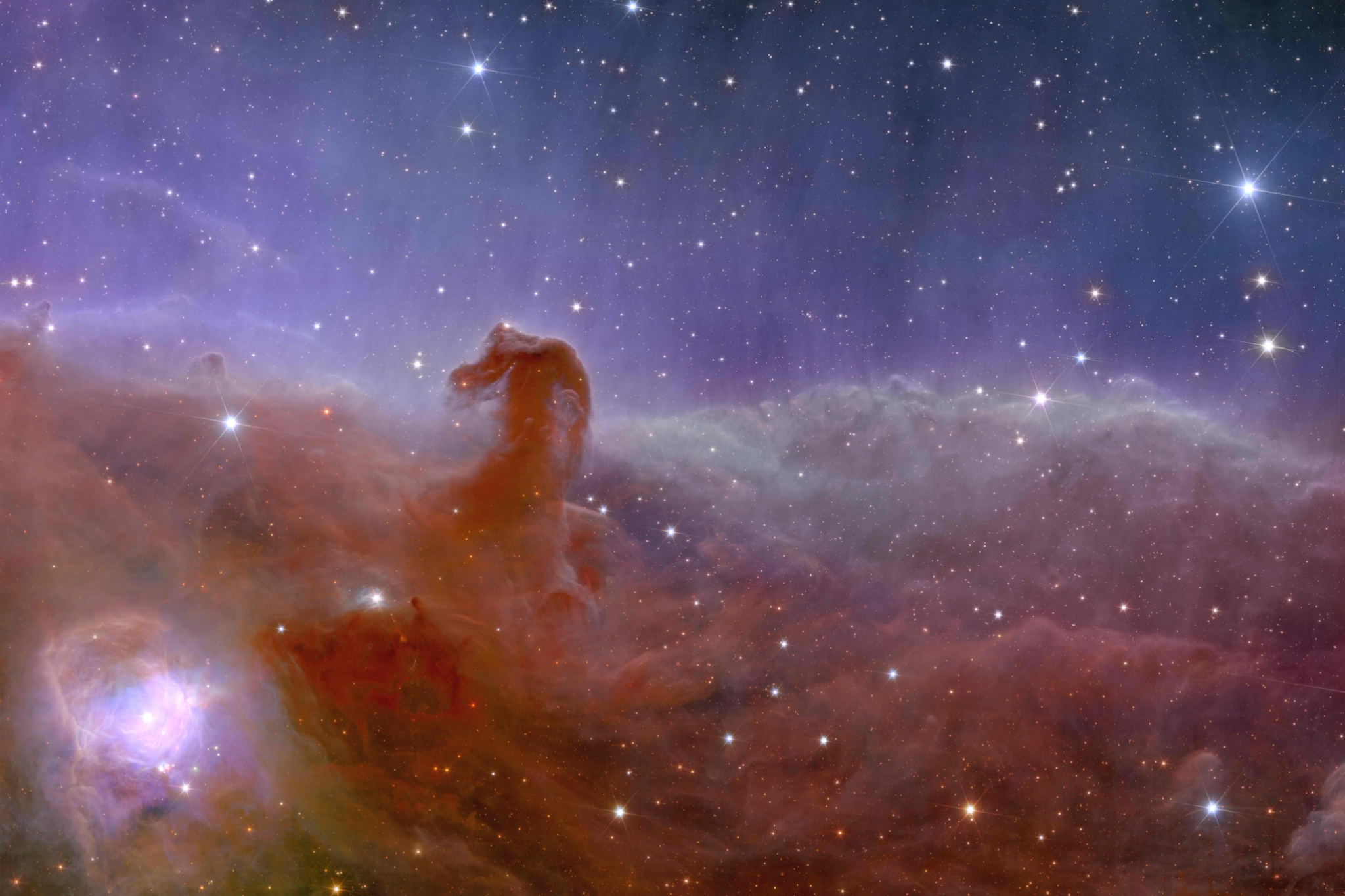 歐幾里得太空望遠鏡拍攝的馬頭星雲。（圖片來源：臺北市立天文科學教育館）