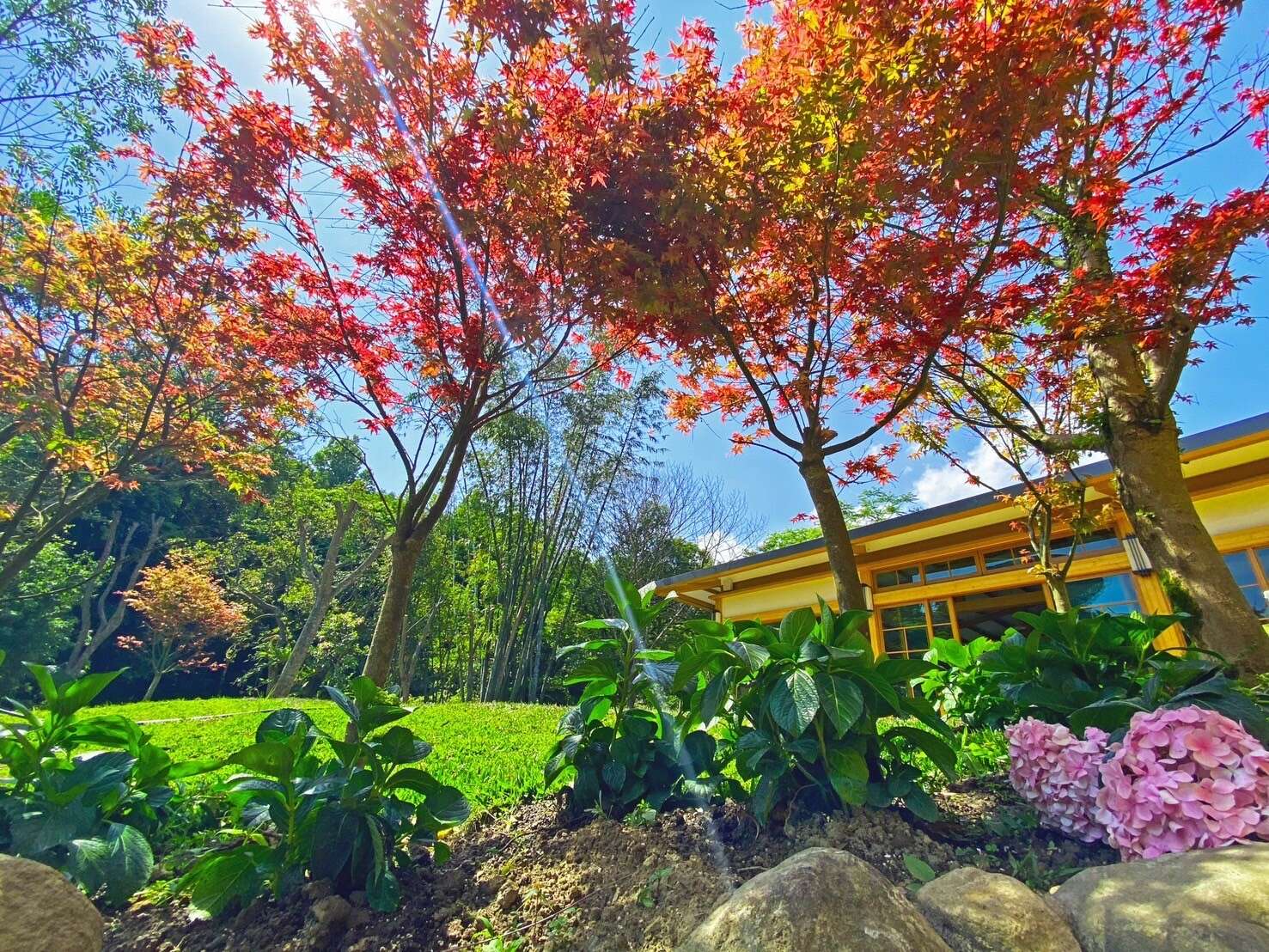圖／楓の微笑會館提供