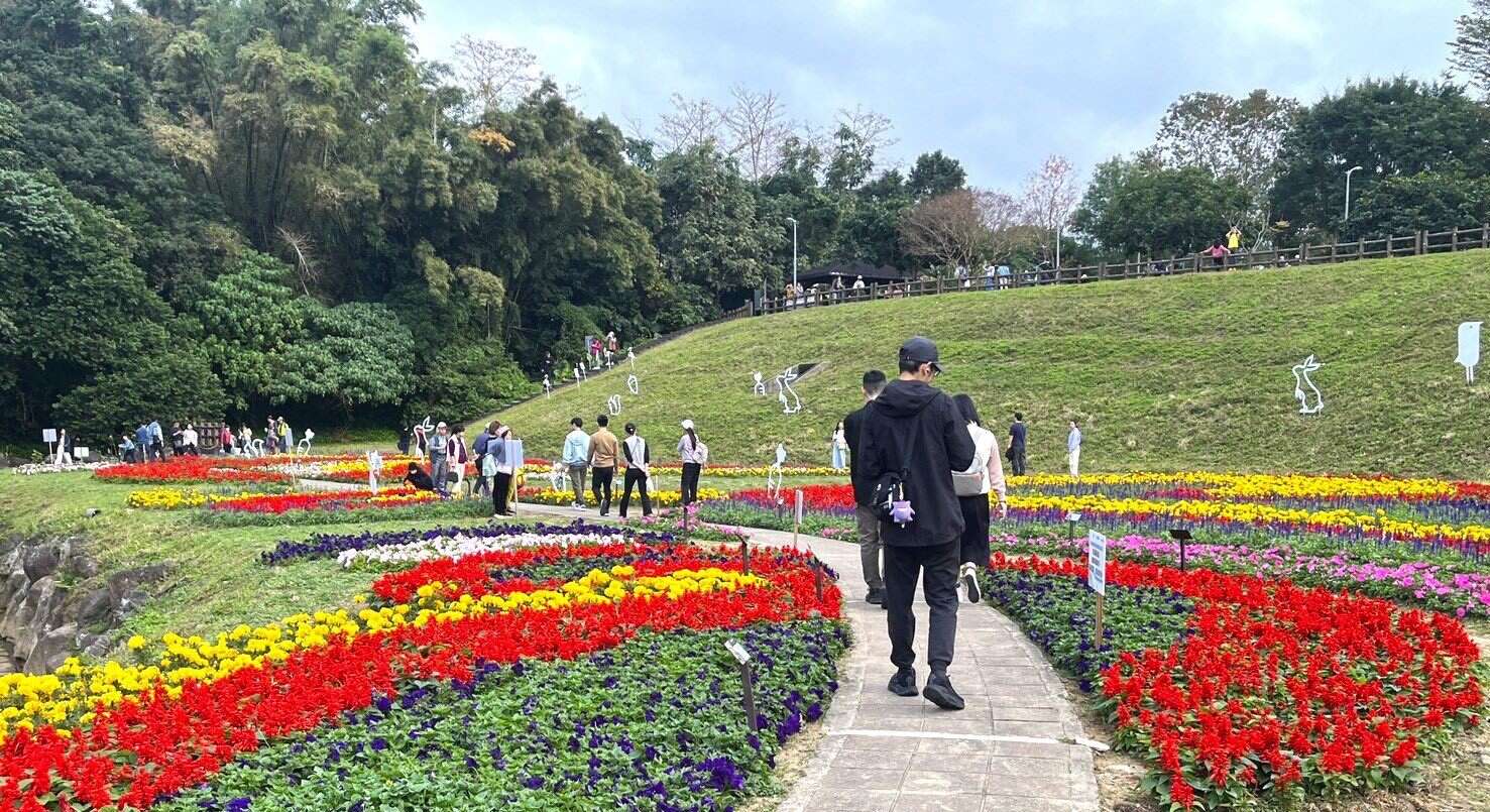 Taipei City's Riverside Blooms in Celebration of Spring Happy Chinese New Year of the Horse