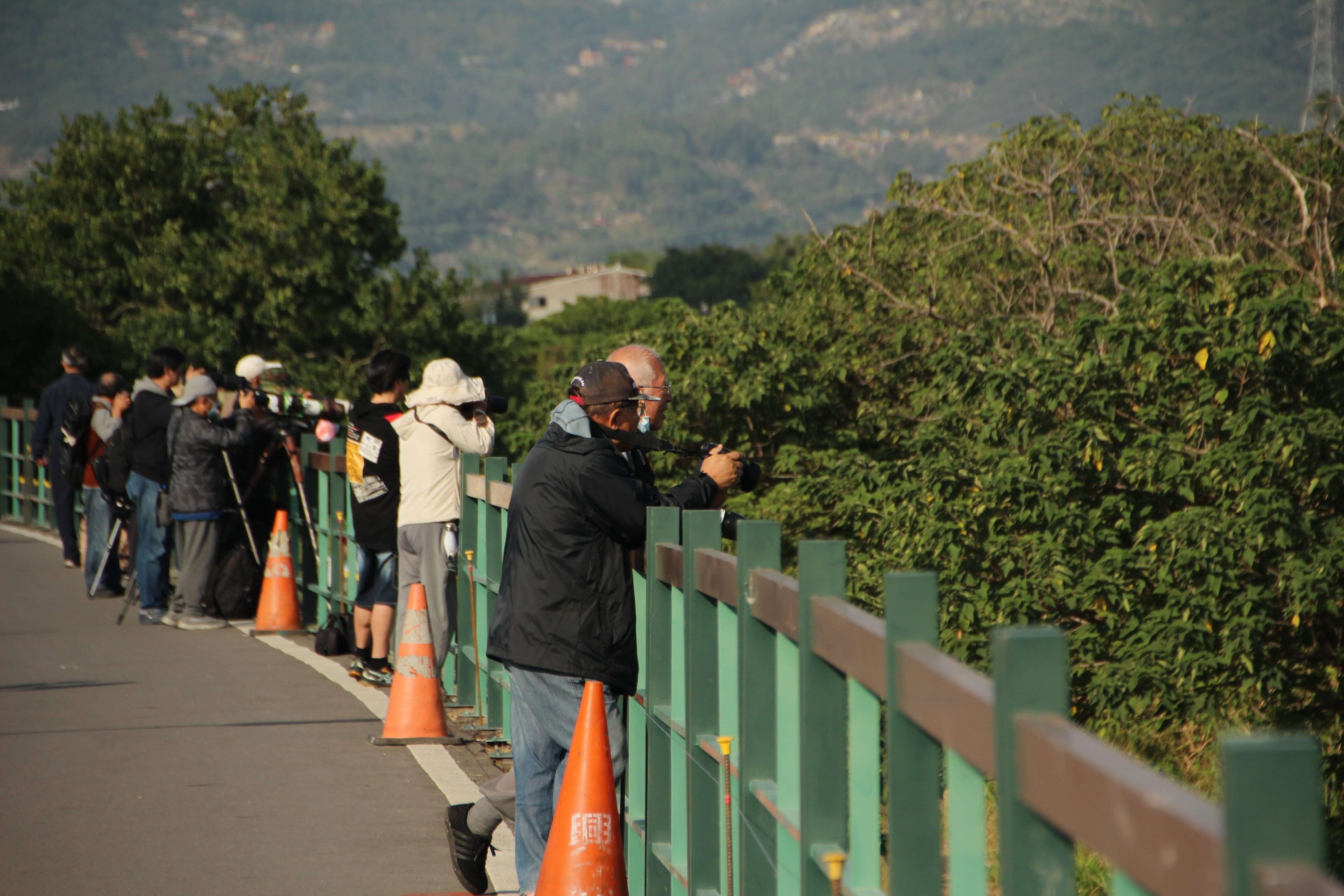 Taipei’s Winter Migratory Bird Spectacle: Shezidao Wetland Sees Record-Breaking Numbers of Common Snipes.