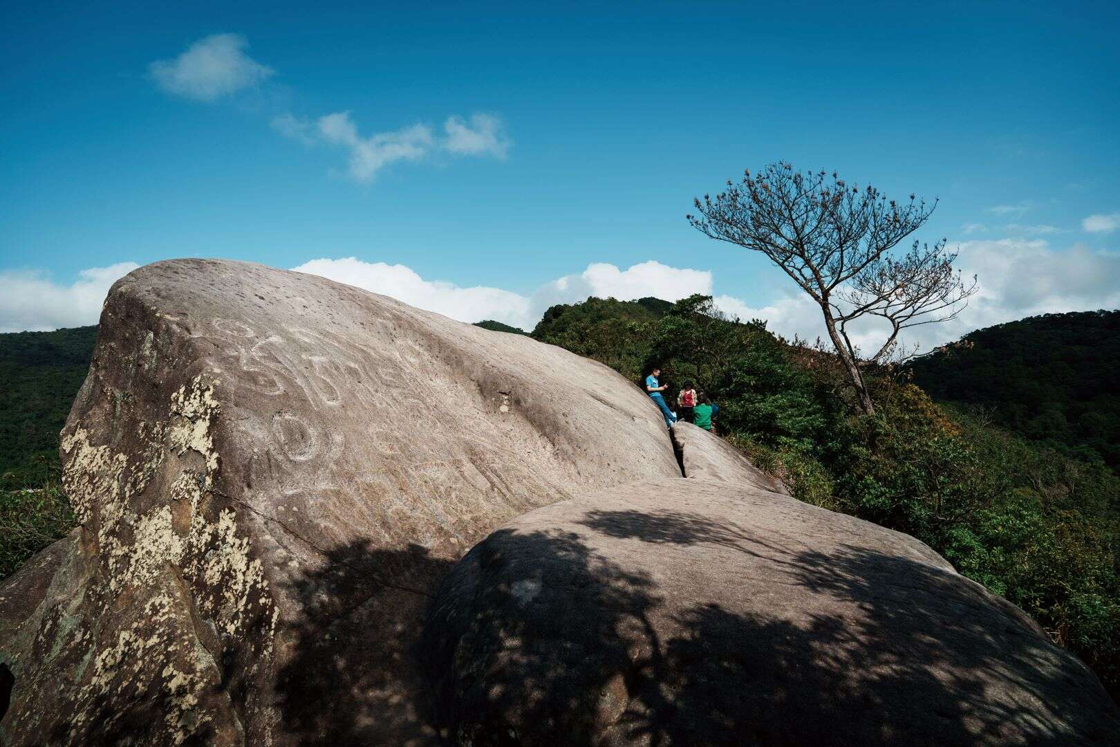 fs_1