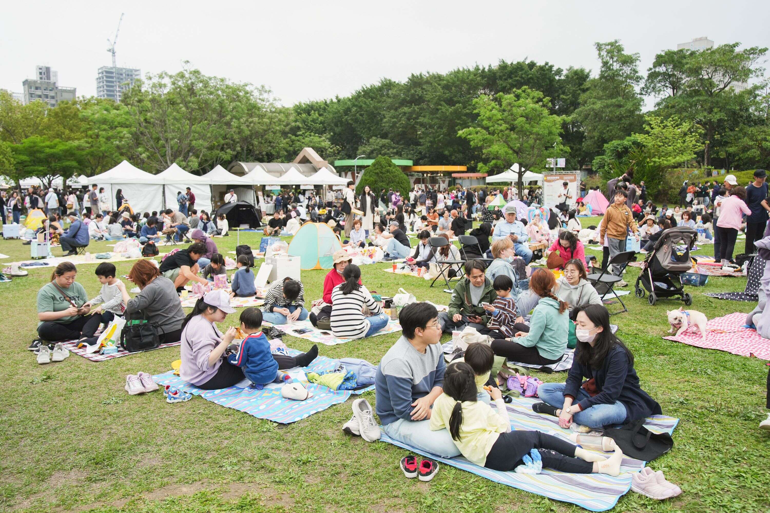 花伴野餐人潮滿滿、熱鬧非凡，為春日花海交織最美的城市風景。（圖片來源：臺北市政府觀光傳播局）