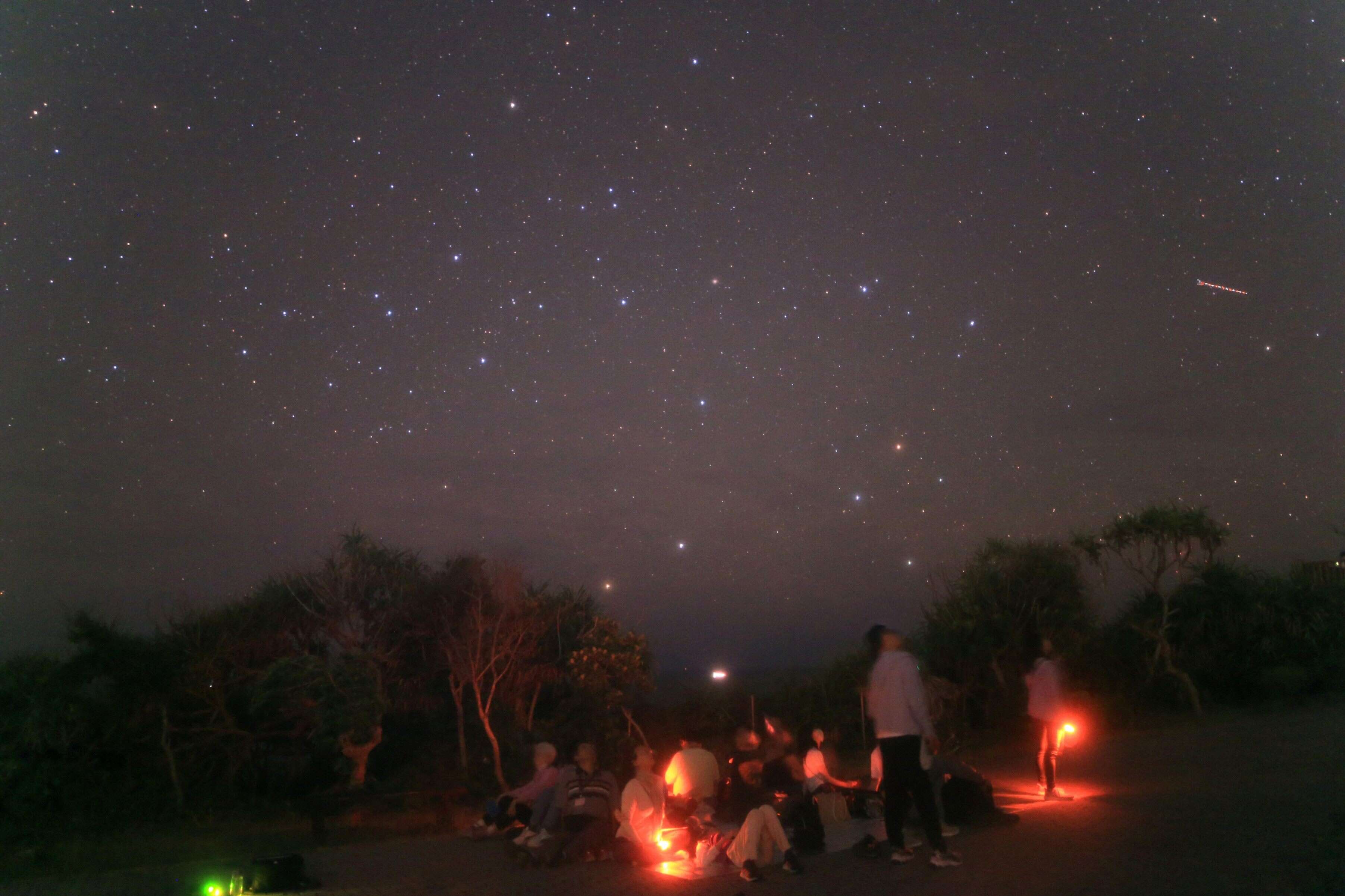 看南十字星座的好機會，天文館墾丁南十字、春夏夜星空與生態之旅，4月14日開始報名（圖片來源：臺北市立天文科學教育館）