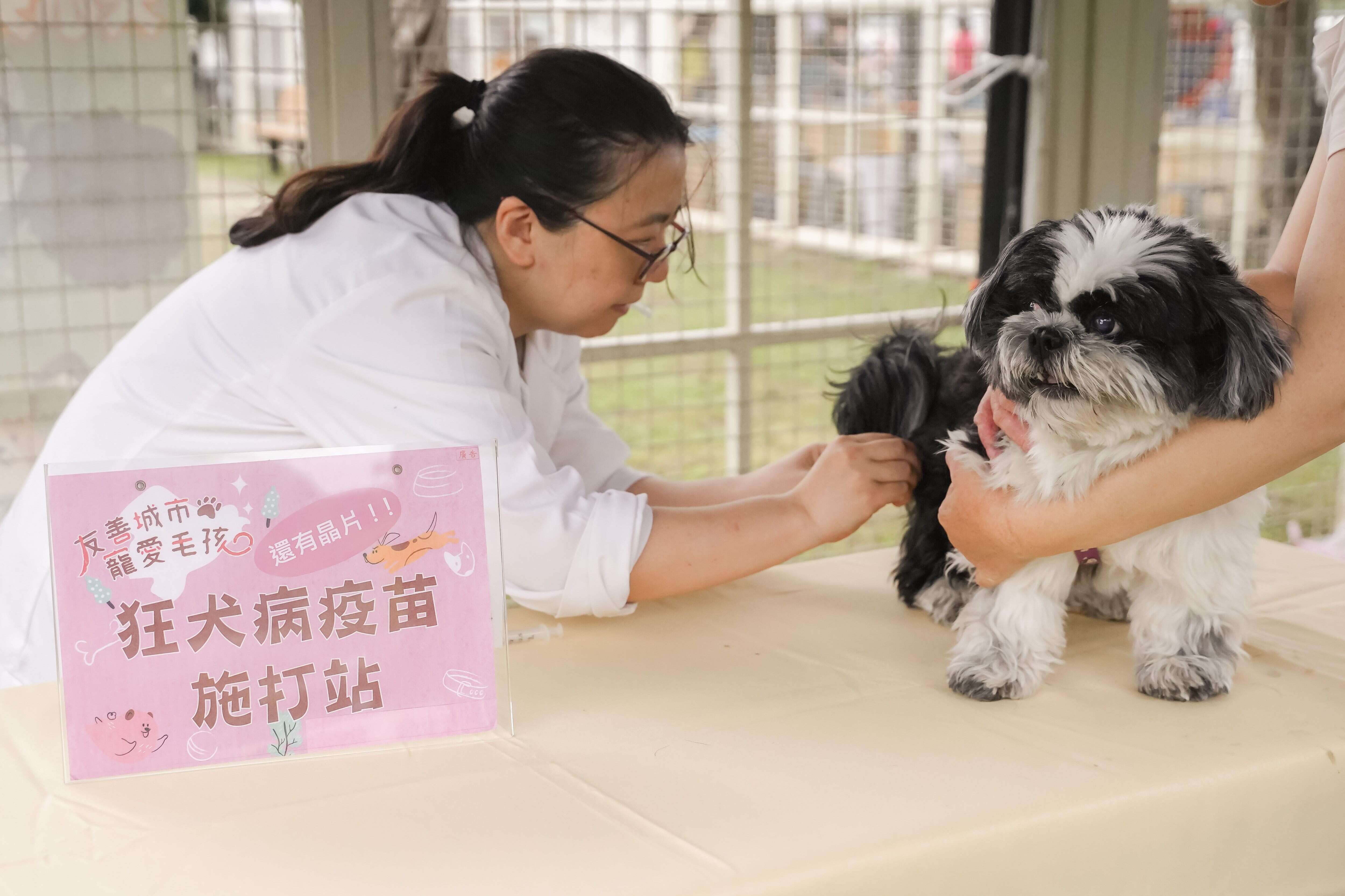 動保處在「狗狗春遊趣」活動提供免費施打狂犬病疫苗服務（圖片來源：臺北市動物保護處）