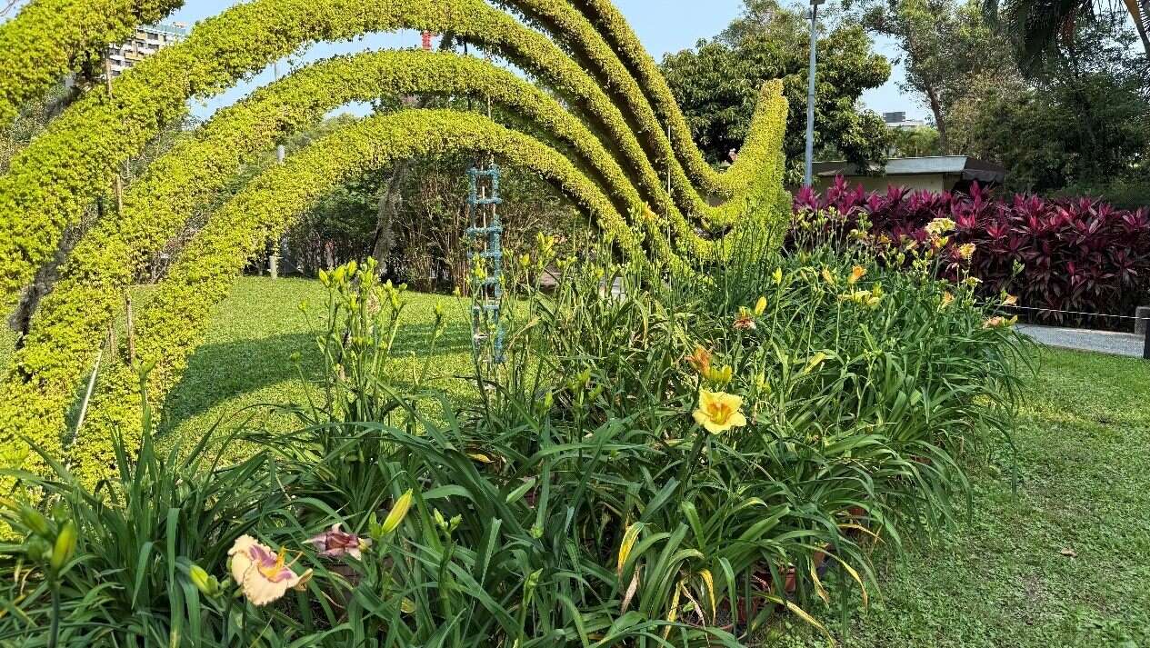 土林官邸盛開繽紛的金針花（圖片來源：臺北市政府工務局公園路燈工程管理處）