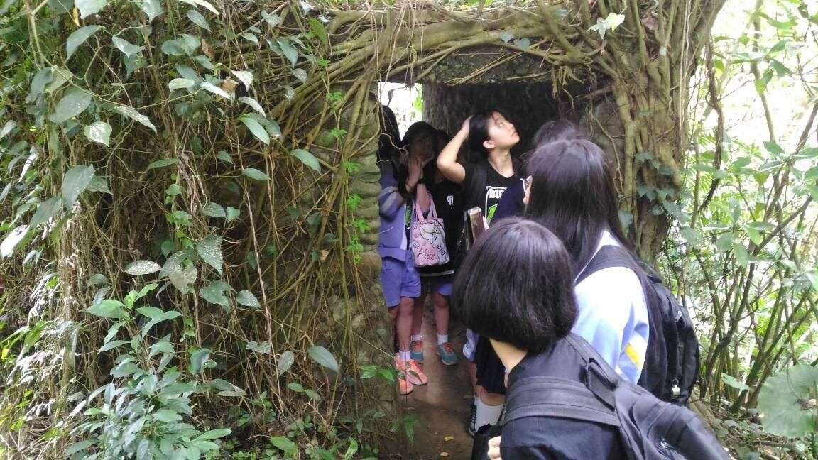 已被藤蔓与树枝包围历史遗迹，形成了许多小动物们的天然屏障。(取自110年度台北市101环教路线暨教案工作坊成果集)（富阳烈烈，萤火灿灿）（图片来源：台北市政府教育局）
