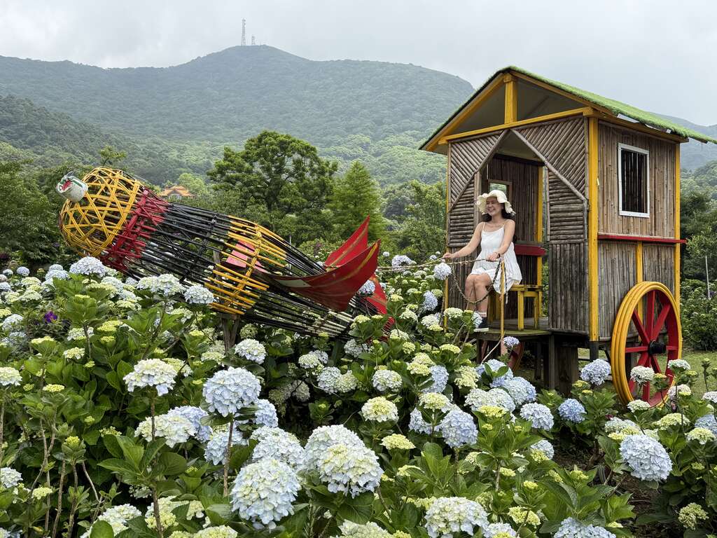 绣球花地景艺术（图片来源：台北市政府产业发展局）