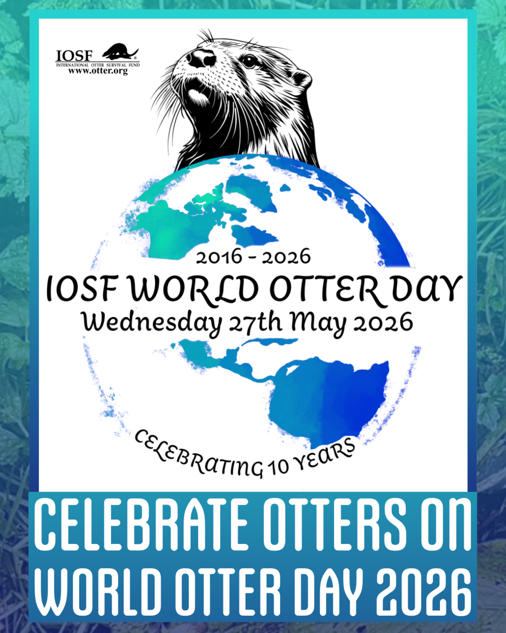 世界水獭日World Otter Day（图片来源International Otter Survival Fund）（图片来源：台北市立动物园）
