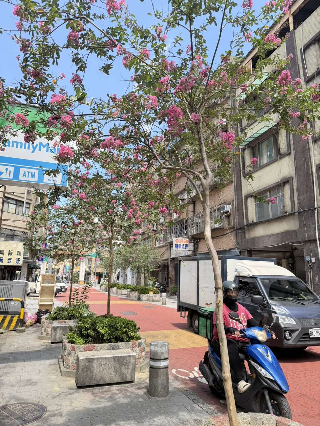 贵阳街紫薇搭配矮仙丹复层式花台（图片来源：台北市政府工务局公园路灯工程管理处）