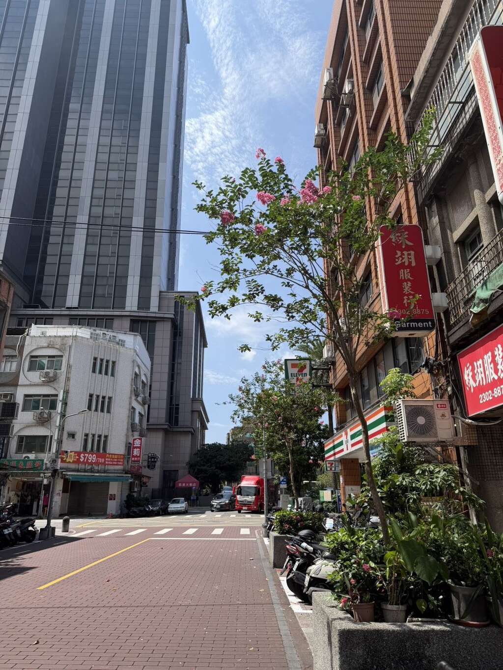 西园路紫薇搭配仙丹复层式花台（图片来源：台北市政府工务局公园路灯工程管理处）