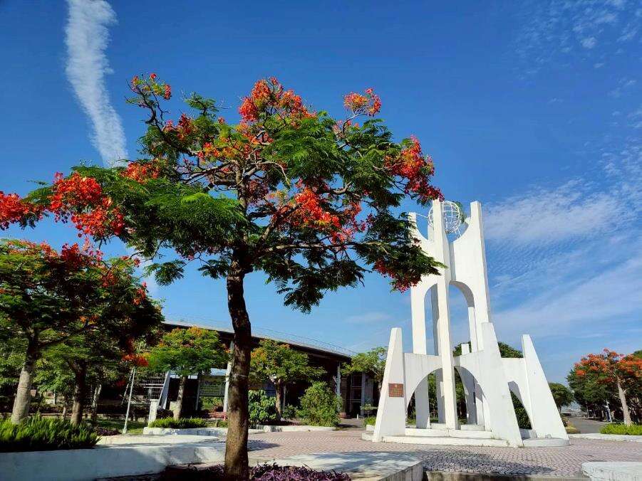 花博公园新生园区凤凰木盛开