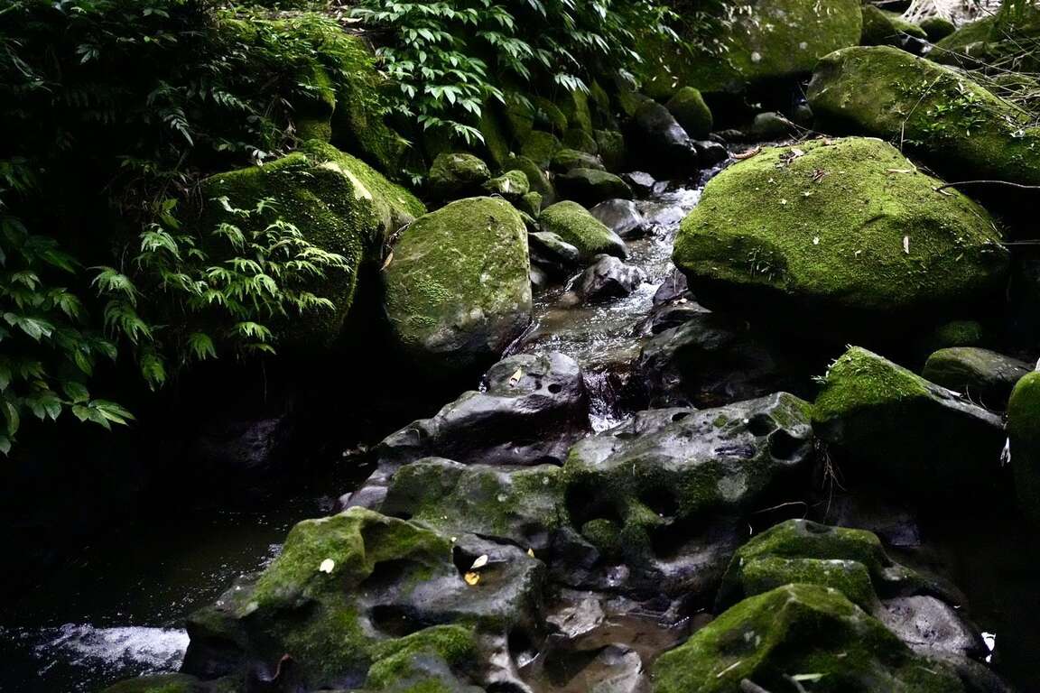 凹凸不平的壶穴景观（图片来源：台北市政府工务局大地工程处）