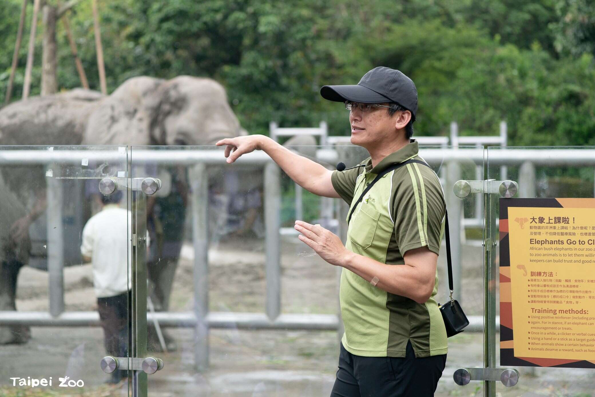 Elephants Go to School: Zookeeper Talks on Animal