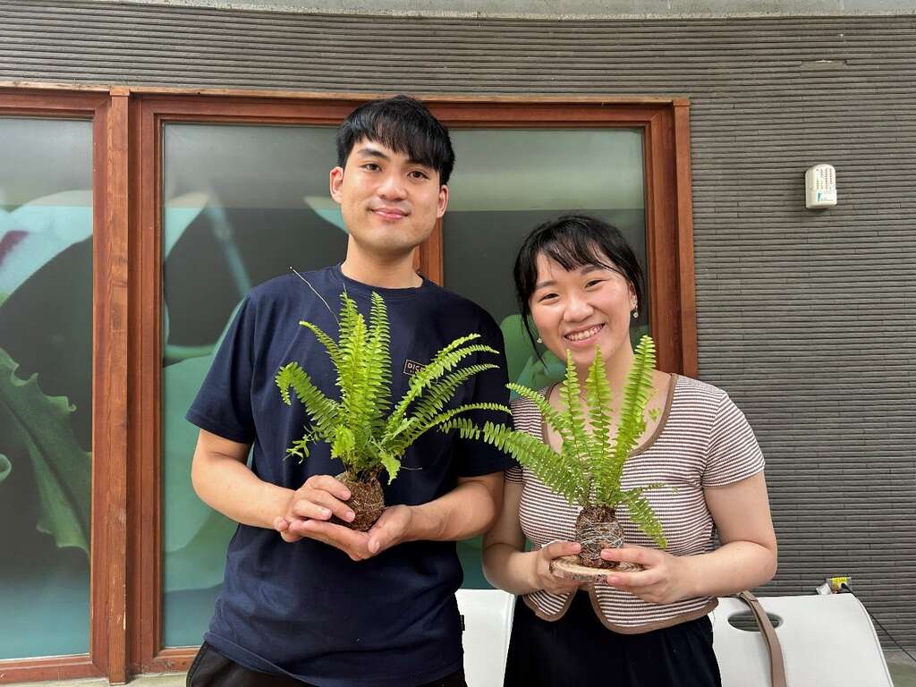 「水苔球」將淨化空氣的蕨類打造成日常居家的療癒擺飾。（圖片來源：臺北市政府工務局公園路燈工程管理處）