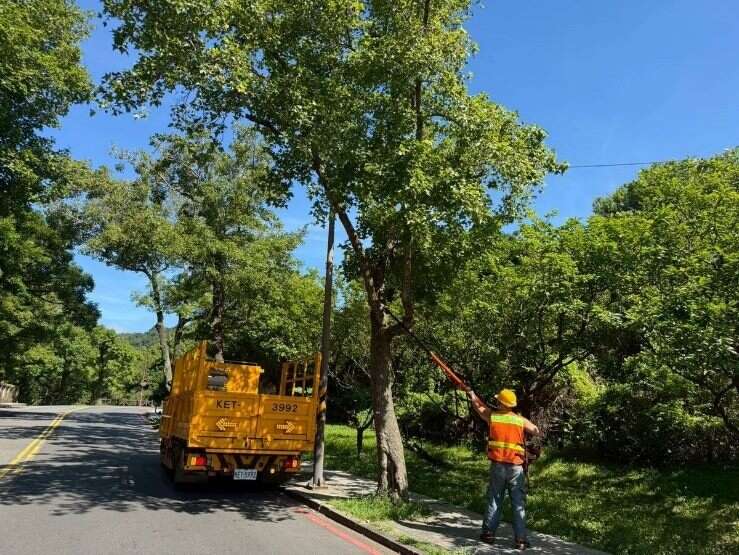 熱天依舊不怠慢修剪疏枝作業（圖片來源：臺北市政府工務局公園路燈工程管理處）