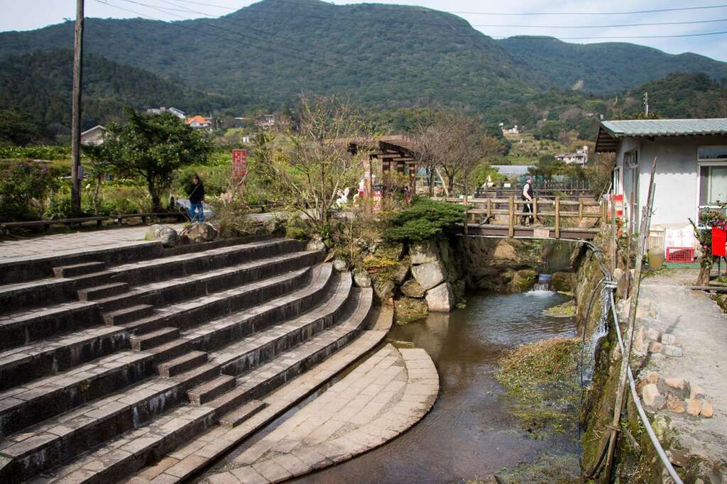 春暖花开海芋季  竹子湖溪畔步道全攻略