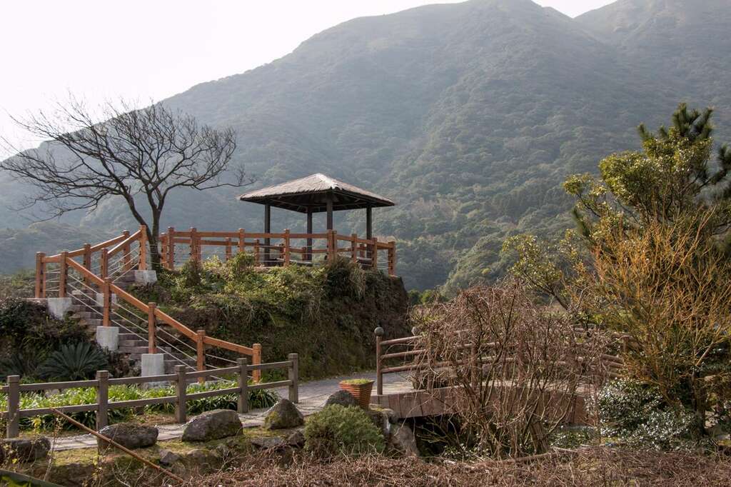 春暖花开海芋季  竹子湖溪畔步道全攻略