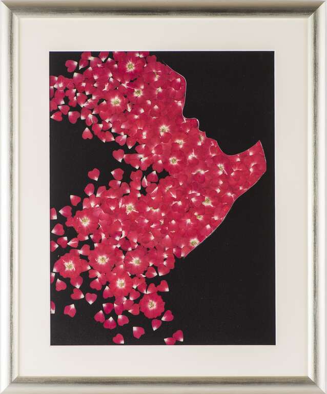 图6.日本押花国宝级大师杉野宣雄先生作品「KOI」。