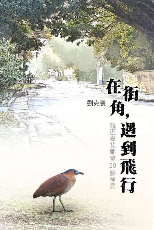 羽ばたきに出会う旅   台北で聞く鳥たちの美声
