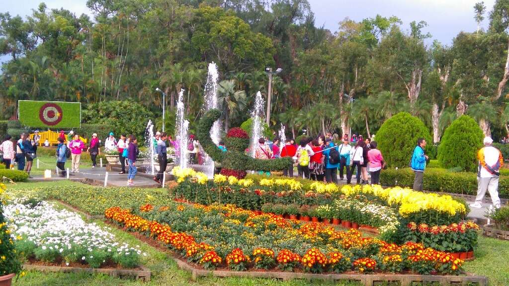 C. K. S. Shilin Residence Chrysanthemum Show 2017